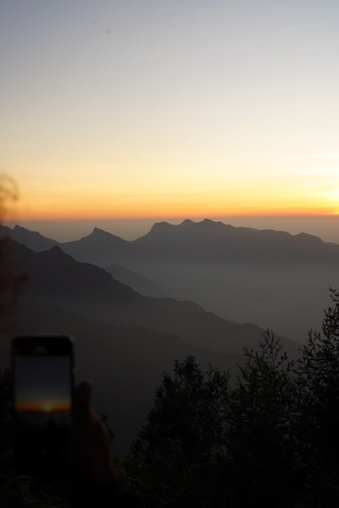 <span class="text-2xl font-bold text-white">Sunrise in Munnar</span>