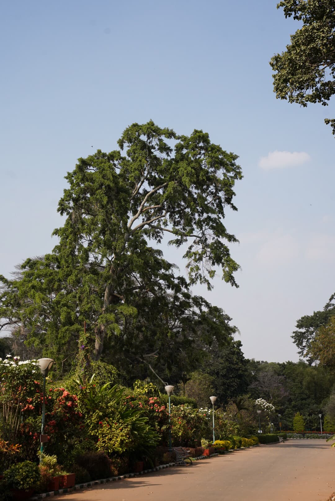 bangalorePark2.jpg
