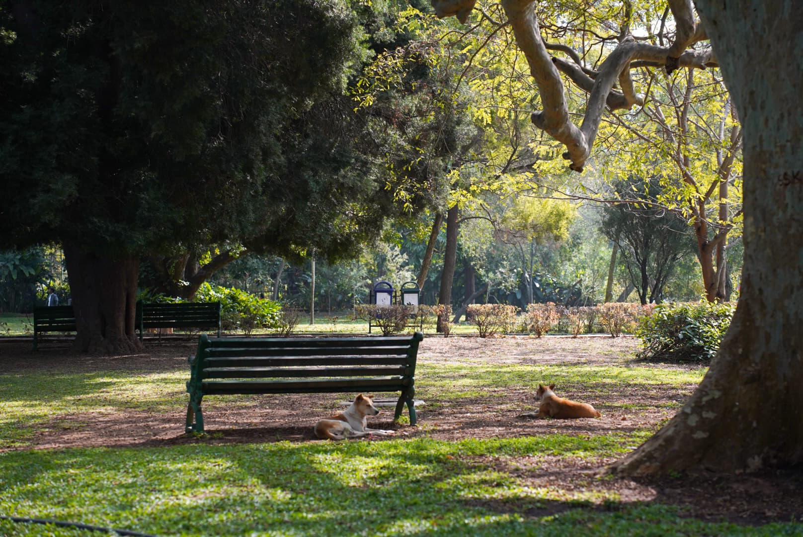 bangalorePark3.jpg