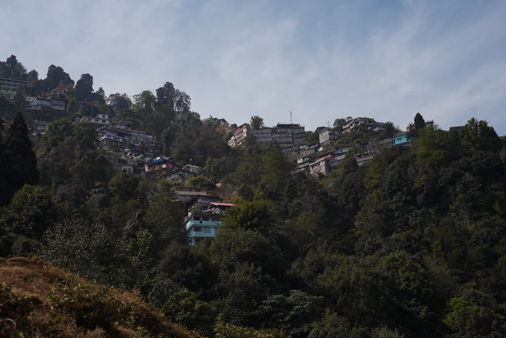 darjeeling2.jpg