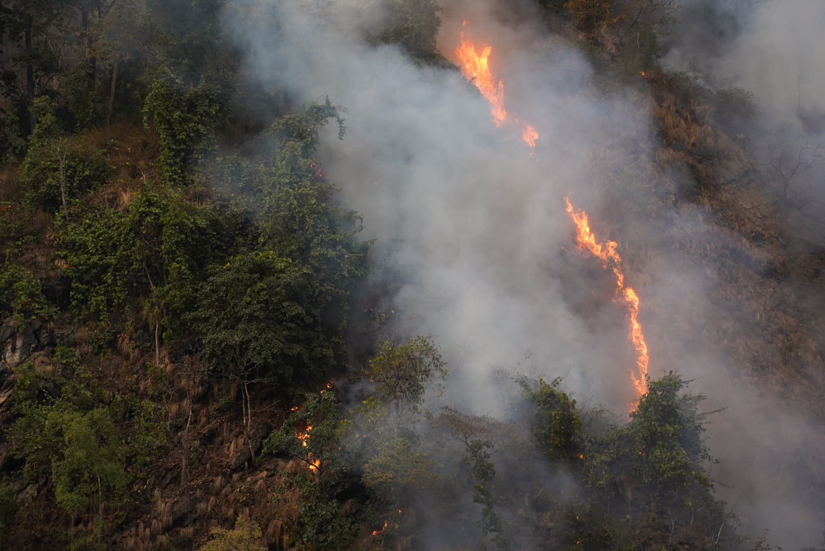 fire4.jpg