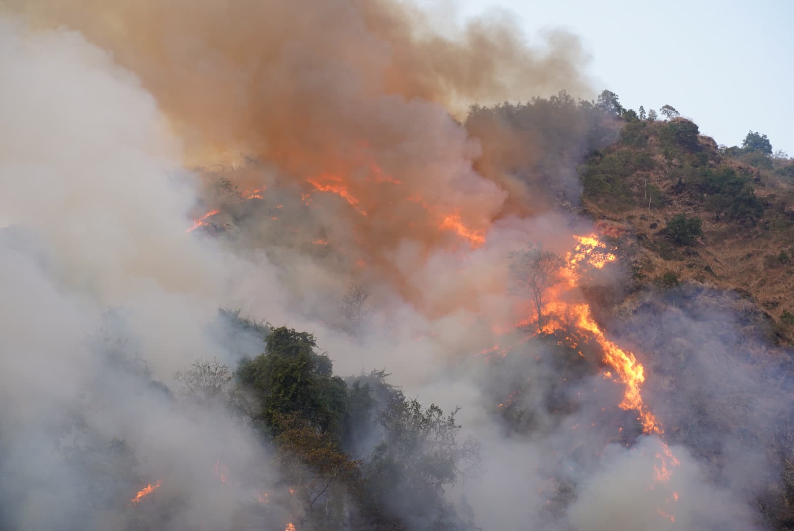 fire5.jpg