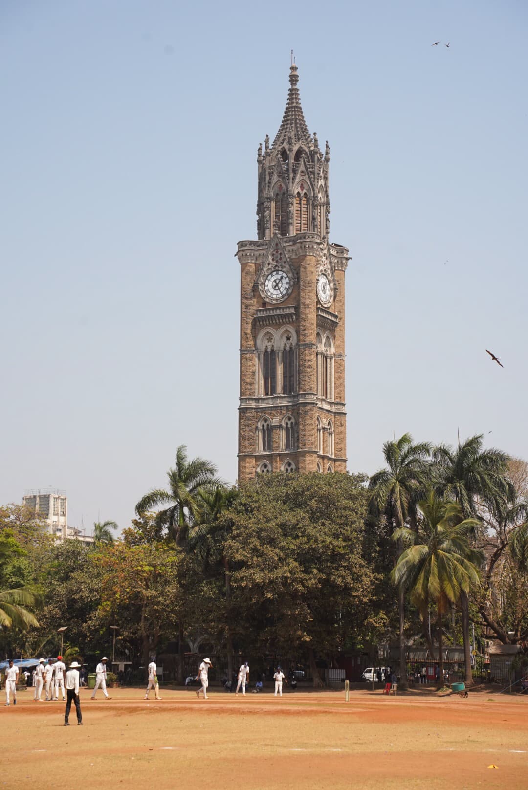 mumbaiCricket3.jpg