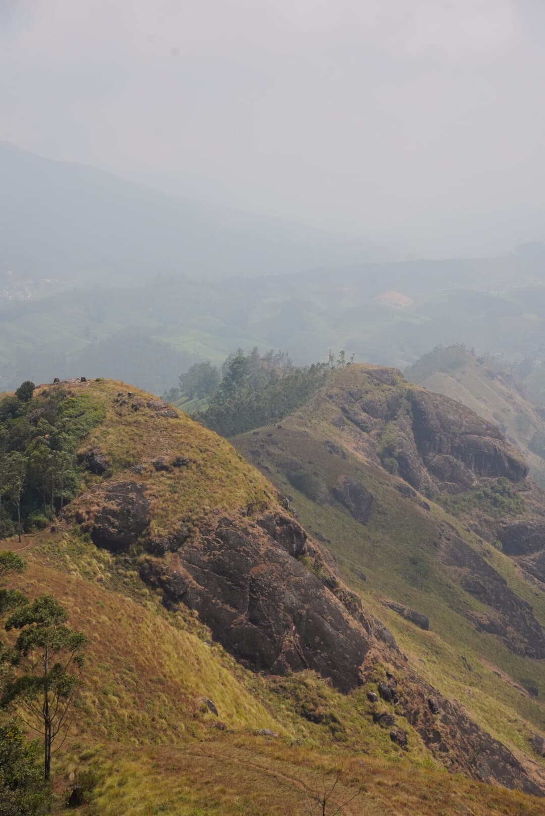 munnarHike5.jpg