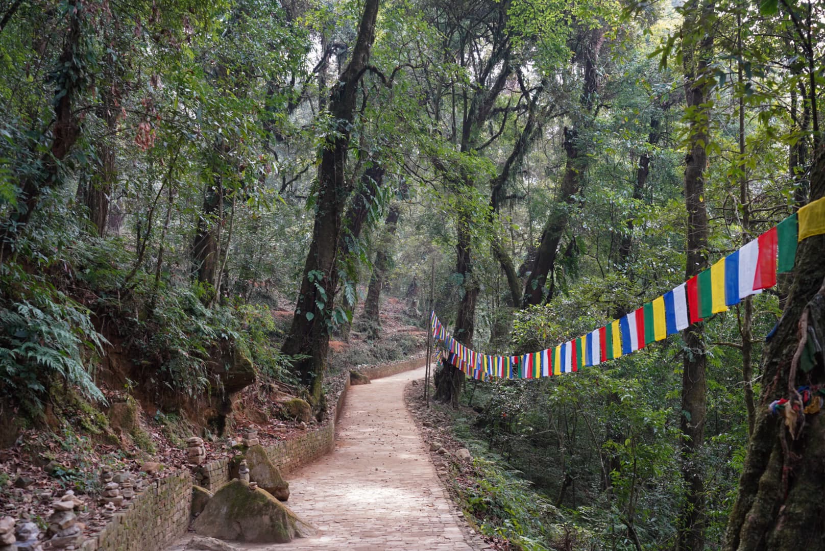 pelling2.jpg