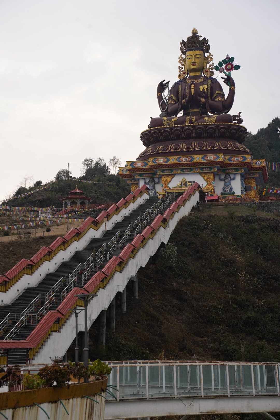 pelling3.jpg