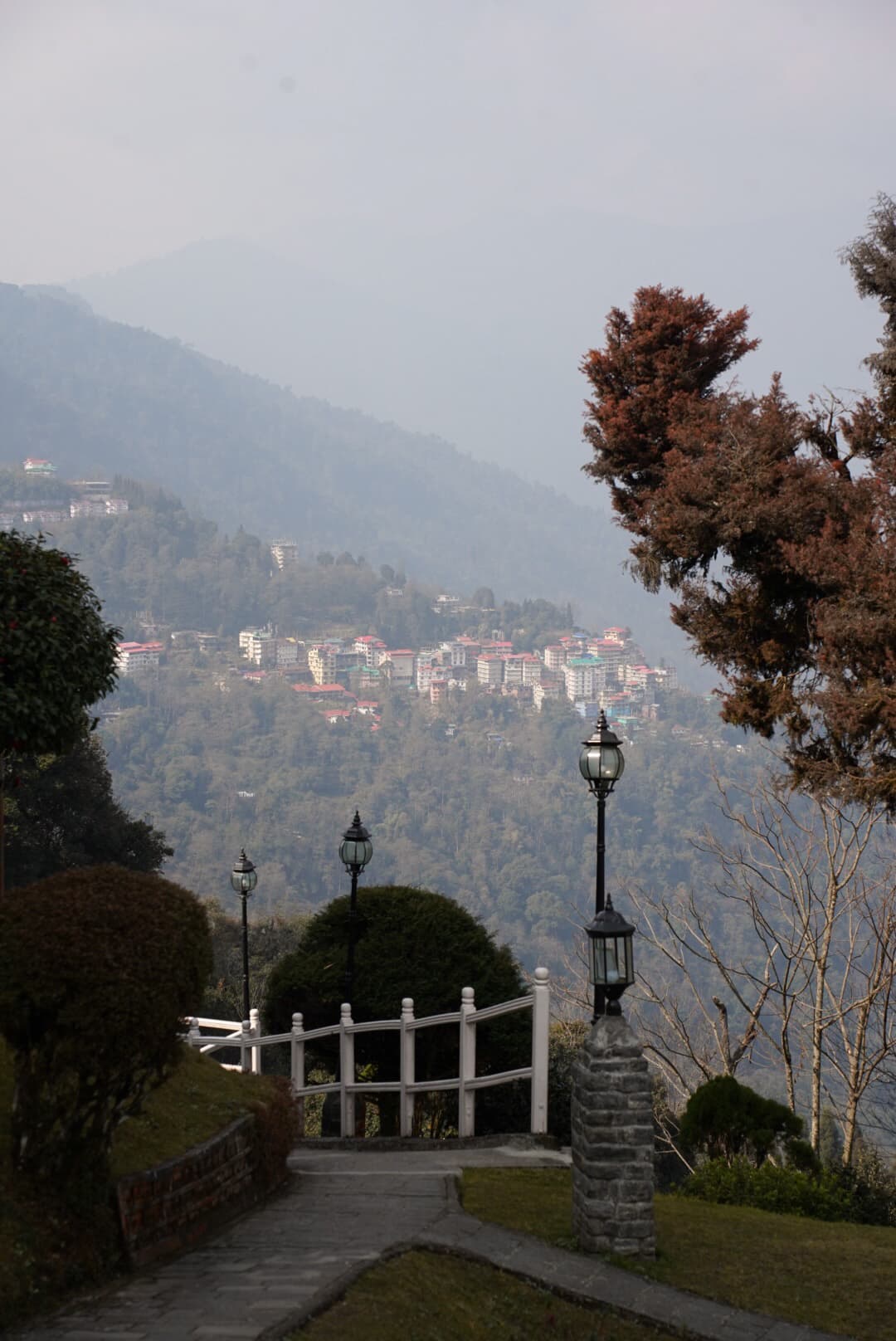 pelling4.jpg